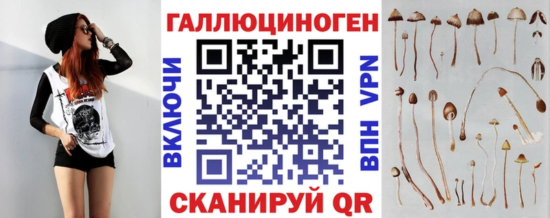 Купить  Можга  Псилоцибиновые грибы прущие грибы 